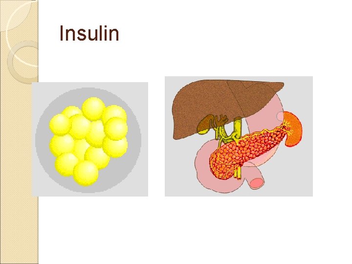 Insulin 