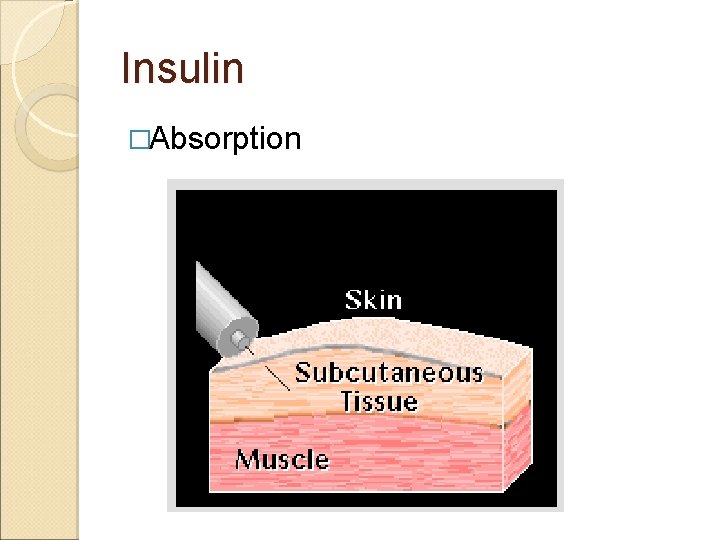 Insulin �Absorption 