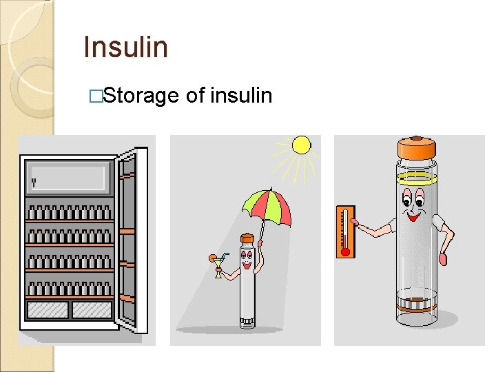 Insulin �Storage of insulin 