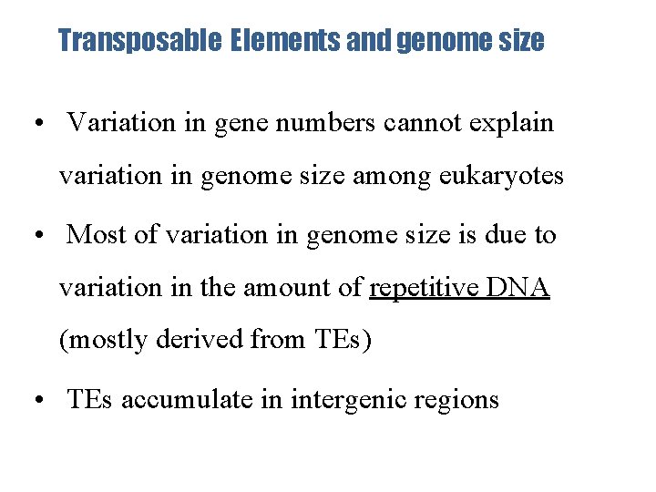 Transposable Elements and genome size • Variation in gene numbers cannot explain variation in