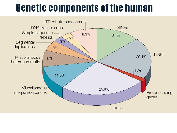 Genetic components of the human genome 