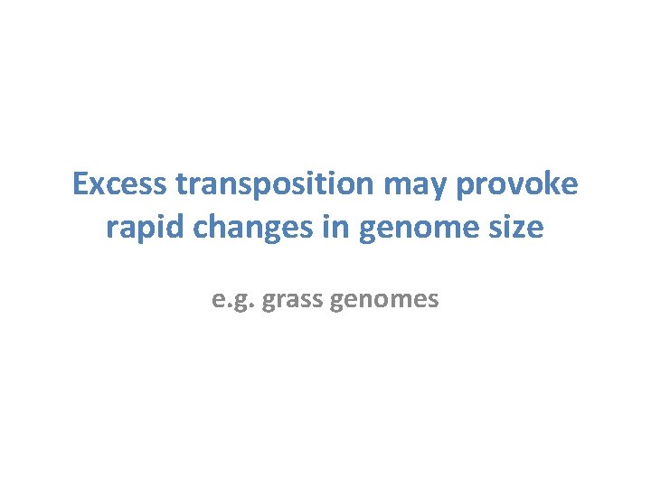 Excess transposition may provoke rapid changes in genome size e. g. grass genomes 