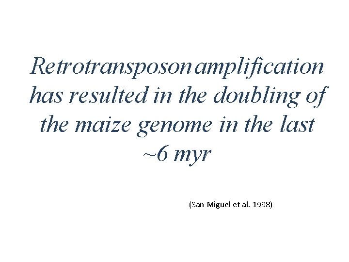 Retrotransposon amplification has resulted in the doubling of the maize genome in the last