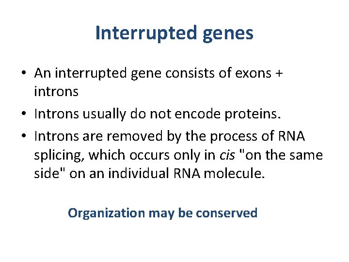 Interrupted genes • An interrupted gene consists of exons + introns • Introns usually