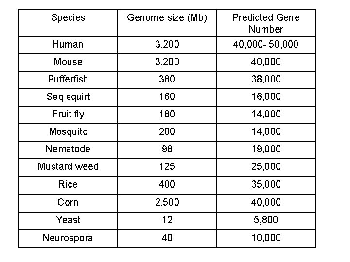 Species Genome size (Mb) Predicted Gene Number Human 3, 200 40, 000 - 50,