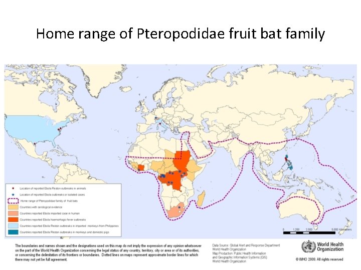 Home range of Pteropodidae fruit bat family 