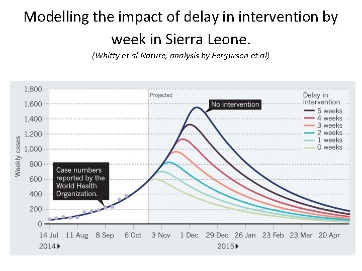Modelling the impact of delay in intervention by week in Sierra Leone. (Whitty et