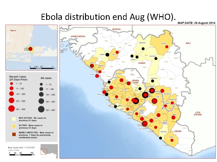 Ebola distribution end Aug (WHO). 