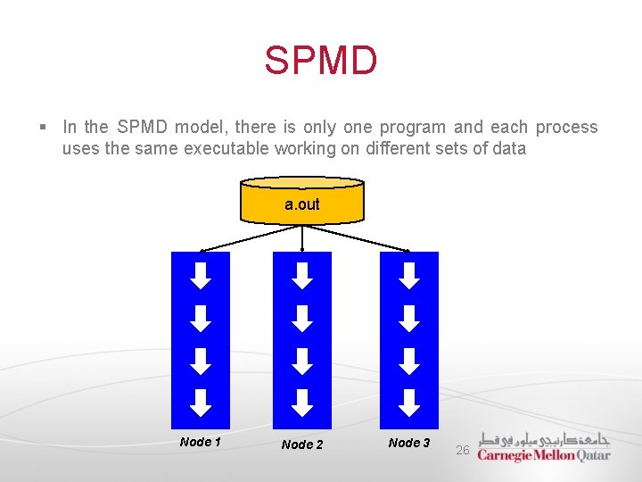 SPMD § In the SPMD model, there is only one program and each process