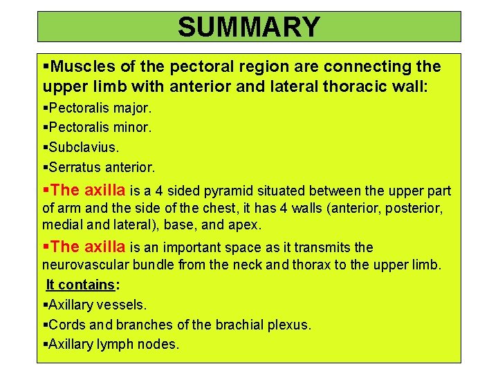 SUMMARY §Muscles of the pectoral region are connecting the upper limb with anterior and SUMMARY §Muscles of the pectoral region are connecting the upper limb with anterior and