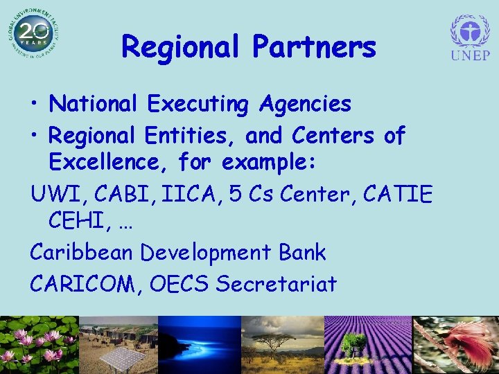 Regional Partners • National Executing Agencies • Regional Entities, and Centers of Excellence, for