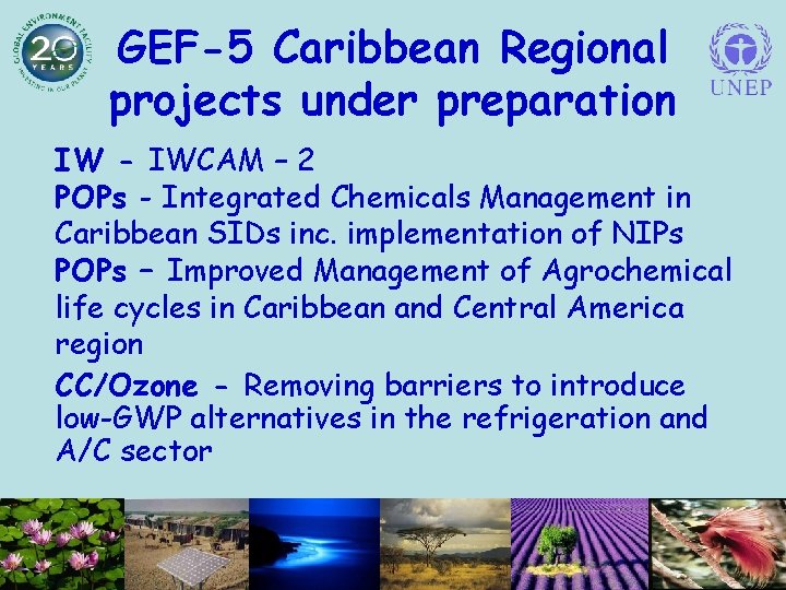 GEF-5 Caribbean Regional projects under preparation IW - IWCAM – 2 POPs - Integrated