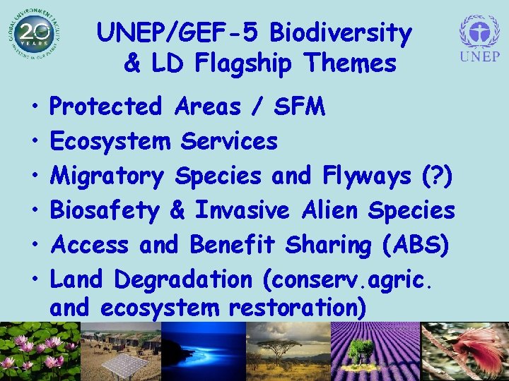 UNEP/GEF-5 Biodiversity & LD Flagship Themes • • • Protected Areas / SFM Ecosystem