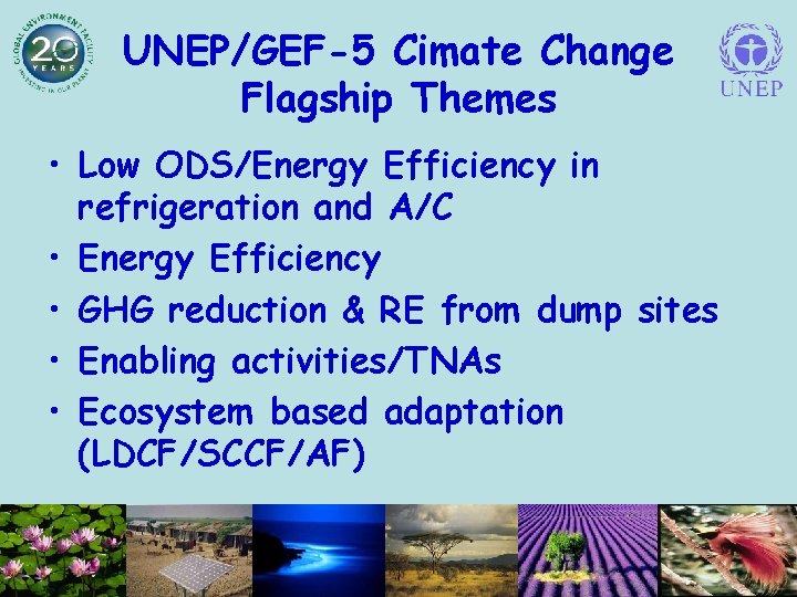 UNEP/GEF-5 Cimate Change Flagship Themes • Low ODS/Energy Efficiency in refrigeration and A/C •