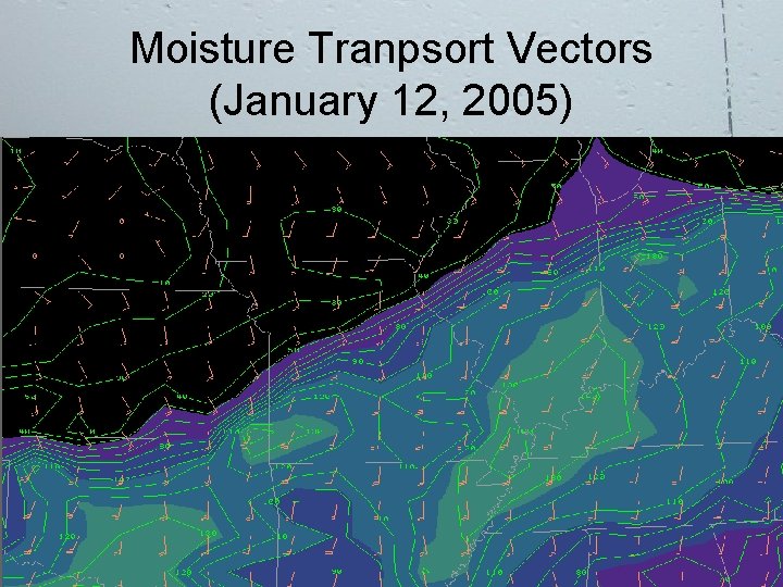Moisture Tranpsort Vectors (January 12, 2005) 