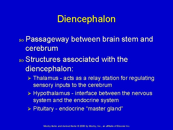 Diencephalon Passageway between brain stem and cerebrum Structures associated with the diencephalon: Thalamus -