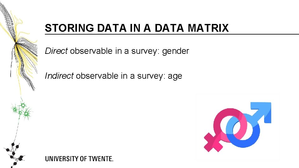 STORING DATA IN A DATA MATRIX Direct observable in a survey: gender Indirect observable STORING DATA IN A DATA MATRIX Direct observable in a survey: gender Indirect observable