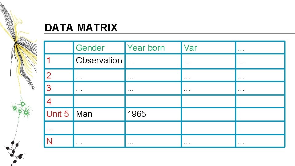 DATA MATRIX 1 Gender Year born Observation. . . Var. . 2 3 . DATA MATRIX 1 Gender Year born Observation. . . Var. . 2 3 .