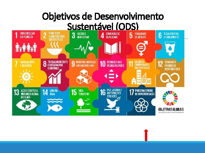 Objetivos de Desenvolvimento Sustentável (ODS) 