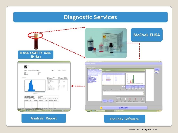 Diagnostic Services Bio. Chek ELISA BLOOD SAMPLES (Min. 20 Nos) Analysis Report Bio. Chek