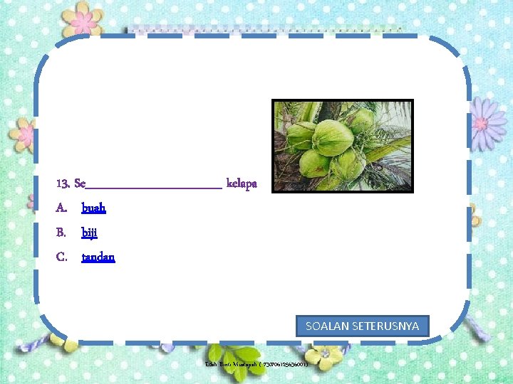 13. Se________ kelapa A. buah B. biji C. tandan SOALAN SETERUSNYA Edah Binti Mustapah