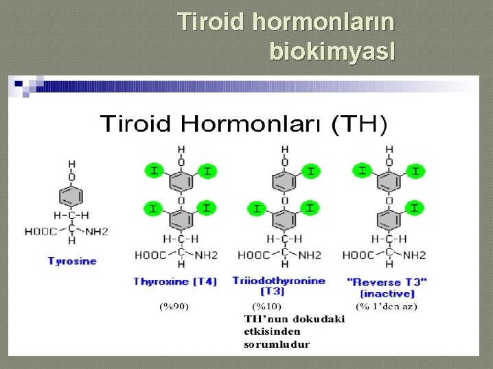 Tiroid hormonların biokimyas. I 