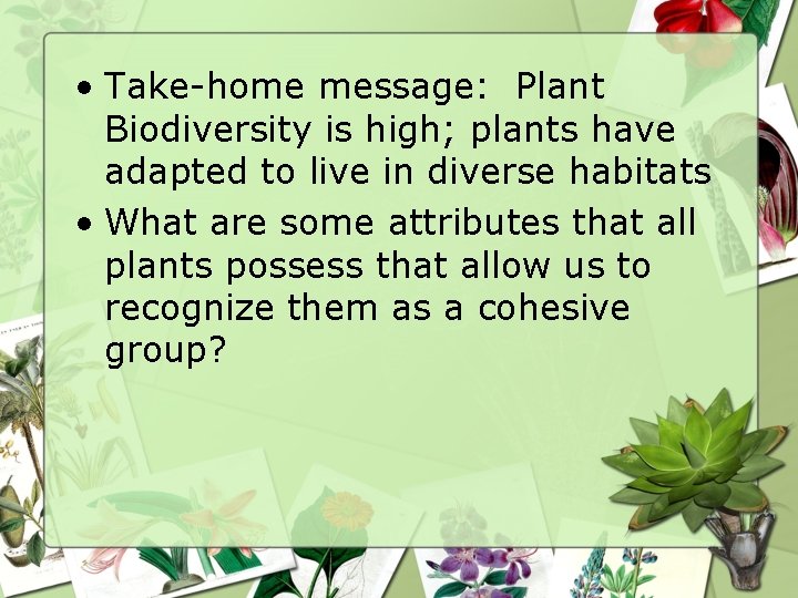  • Take-home message: Plant Biodiversity is high; plants have adapted to live in