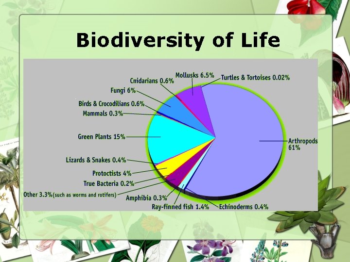 Biodiversity of Life 