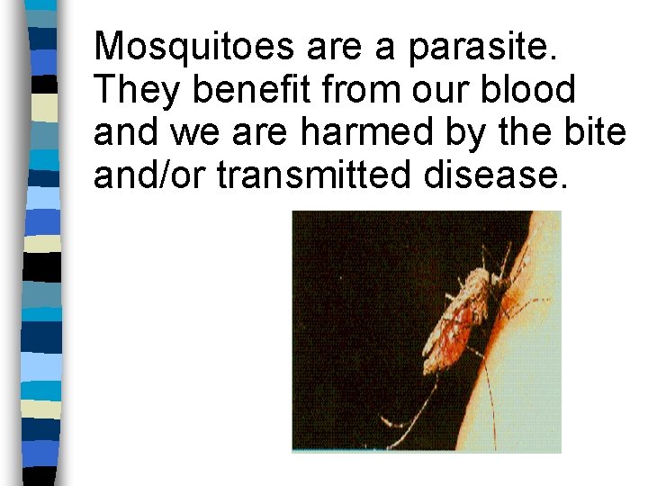 Mosquitoes are a parasite. They benefit from our blood and we are harmed by