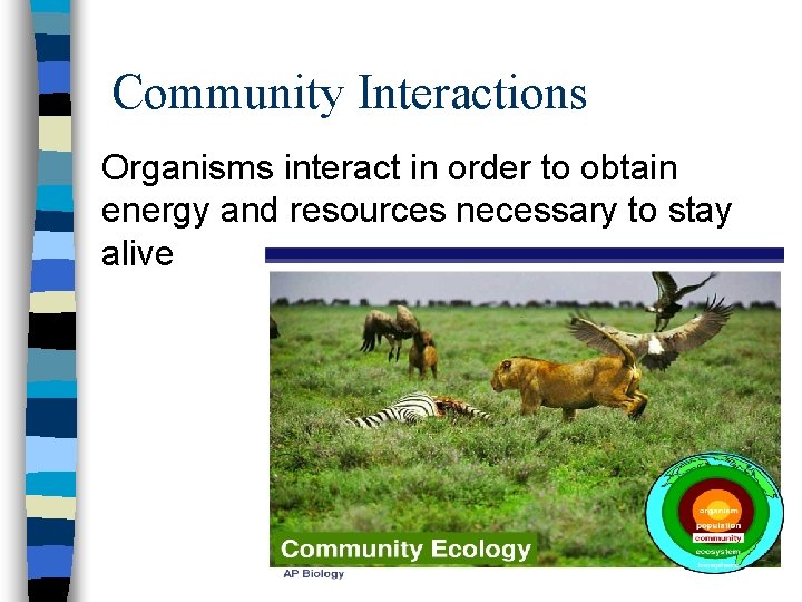 Community Interactions Organisms interact in order to obtain energy and resources necessary to stay