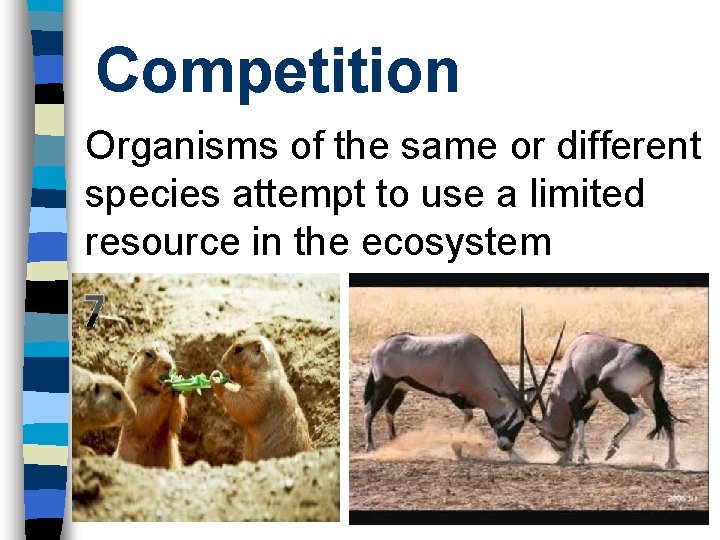 Competition Organisms of the same or different species attempt to use a limited resource