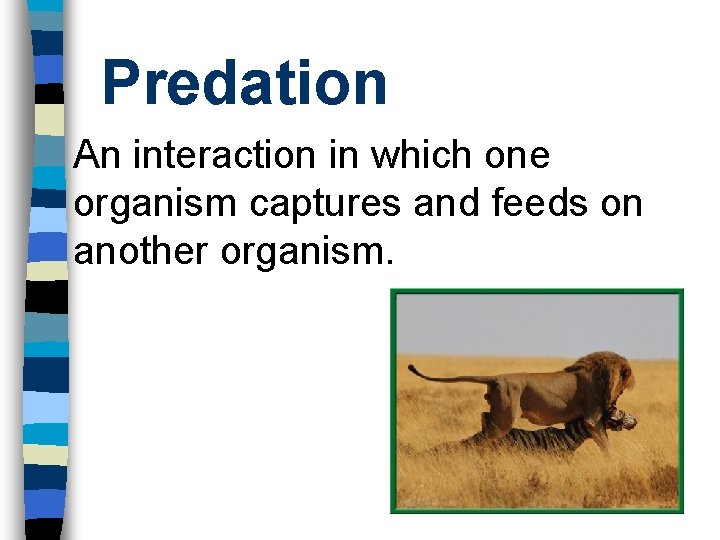 Predation An interaction in which one organism captures and feeds on another organism. 