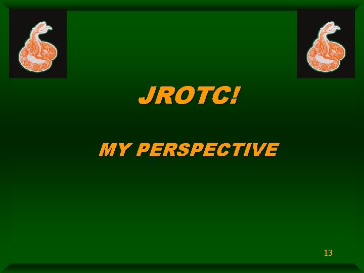 JROTC! MY PERSPECTIVE 13 