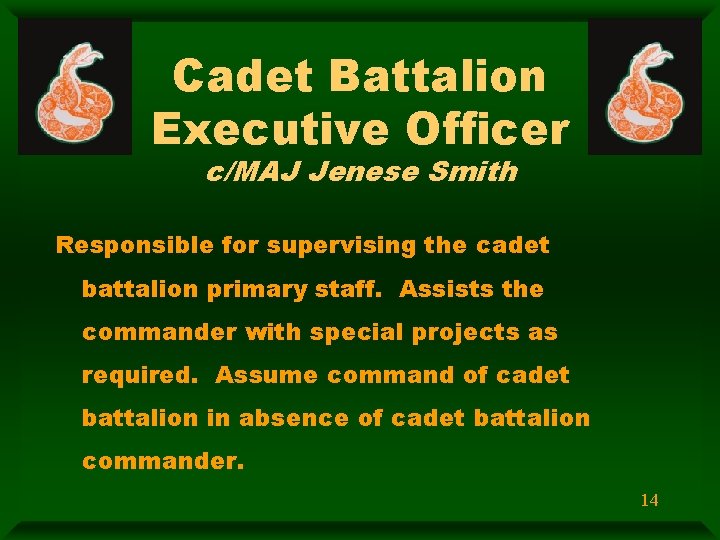 Cadet Battalion Executive Officer c/MAJ Jenese Smith Responsible for supervising the cadet battalion primary