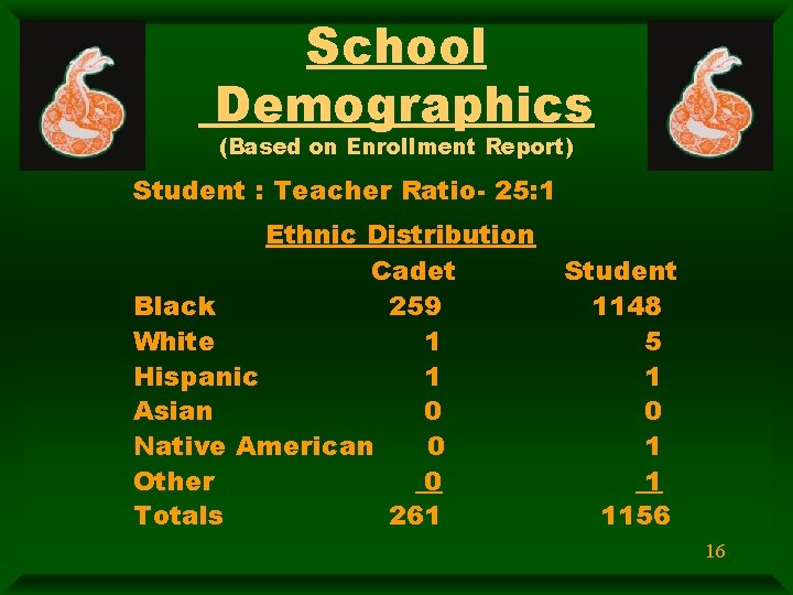 School Demographics (Based on Enrollment Report) Student : Teacher Ratio- 25: 1 Ethnic Distribution