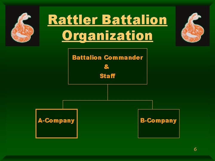 Rattler Battalion Organization Battalion Commander & Staff A-Company B-Company 6 