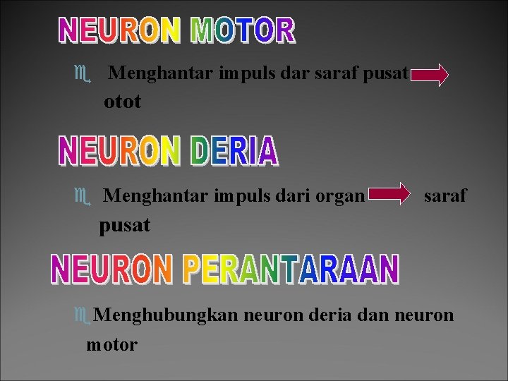 e Menghantar impuls dar saraf pusat otot e Menghantar impuls dari organ saraf pusat