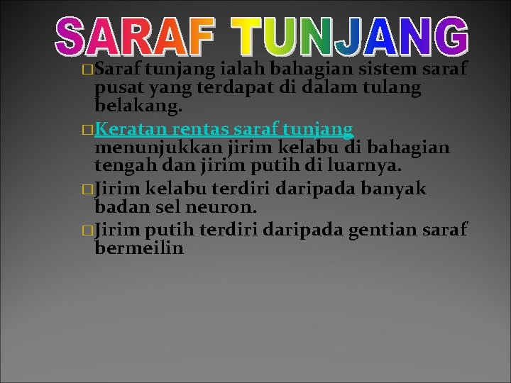 �Saraf tunjang ialah bahagian sistem saraf pusat yang terdapat di dalam tulang belakang. �Keratan