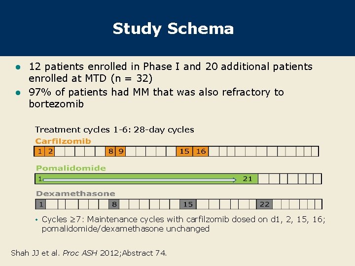 Study Schema 12 patients enrolled in Phase I and 20 additional patients enrolled at