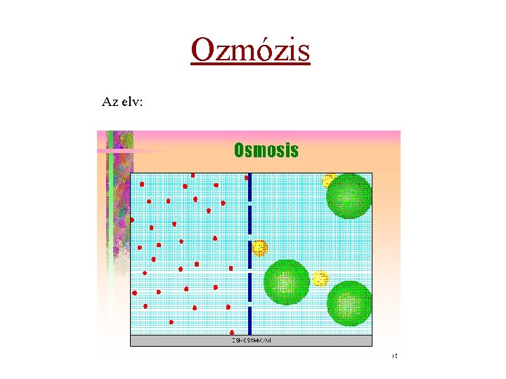 Ozmózis Az elv: 