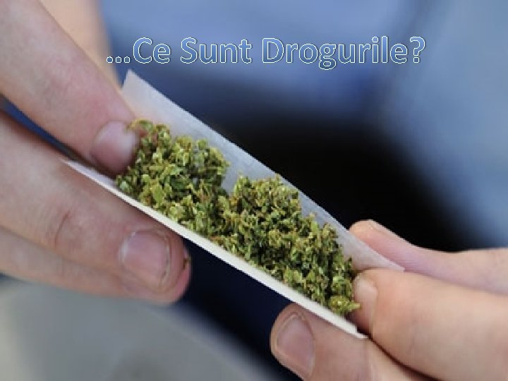 …Ce Sunt Drogurile? …Ce Sunt Drogurile?