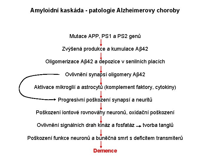 Amyloidní kaskáda - patologie Alzheimerovy choroby Mutace APP, PS 1 a PS 2 genů