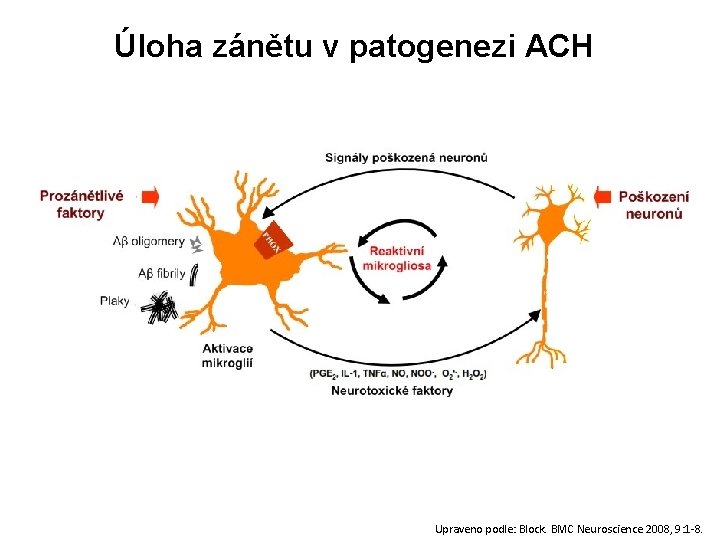 Úloha zánětu v patogenezi ACH Upraveno podle: Block. BMC Neuroscience 2008, 9: 1 -8.