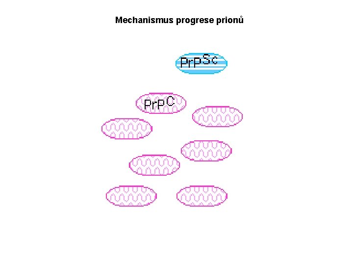 Mechanismus progrese prionů 