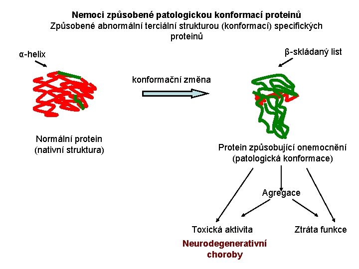 Nemoci způsobené patologickou konformací proteinů Způsobené abnormální terciální strukturou (konformací) specifických proteinů β-skládaný list