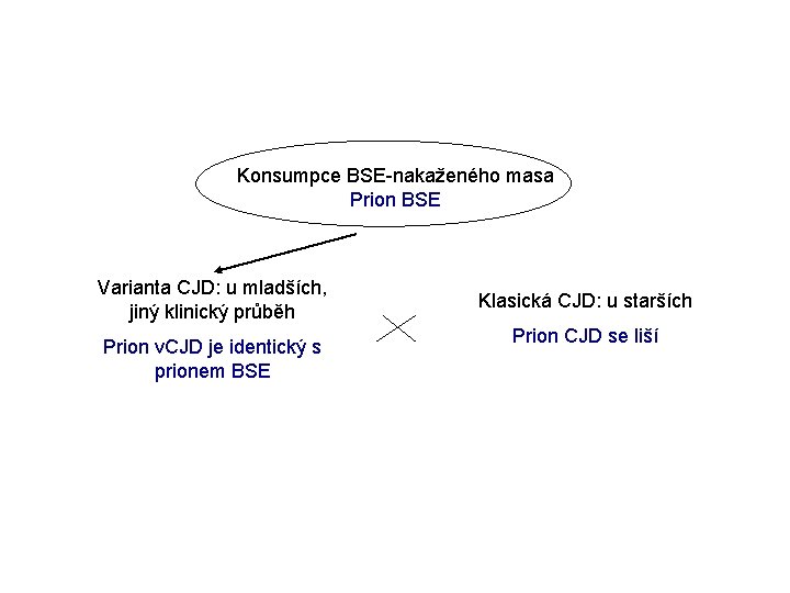 Konsumpce BSE-nakaženého masa Prion BSE Varianta CJD: u mladších, jiný klinický průběh Prion v.