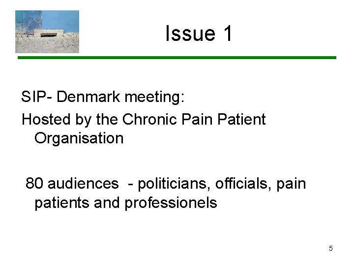 Issue 1 SIP- Denmark meeting: Hosted by the Chronic Pain Patient Organisation 80 audiences