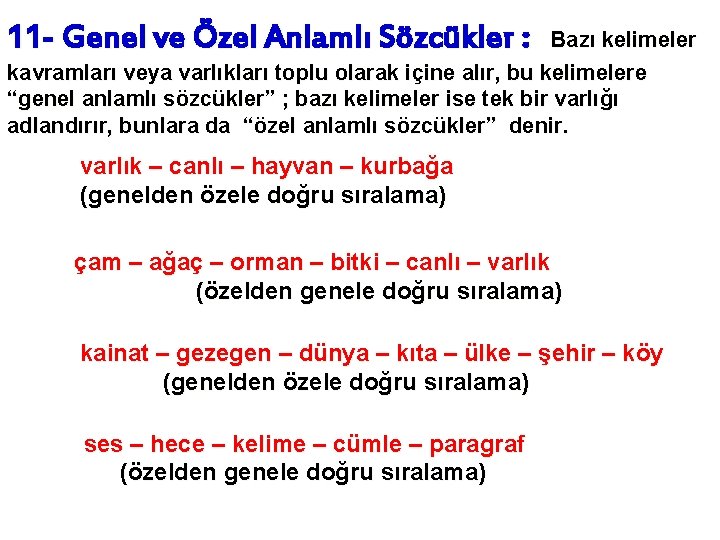 11 - Genel ve Özel Anlamlı Sözcükler : Bazı kelimeler kavramları veya varlıkları toplu