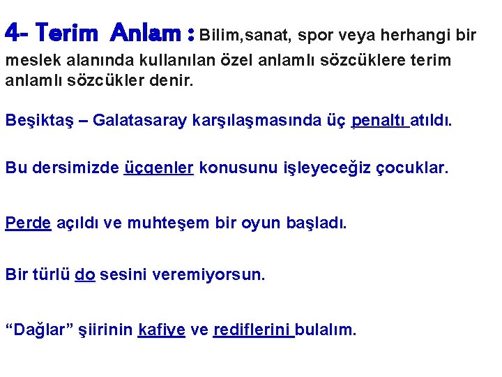 4 - Terim Anlam : Bilim, sanat, spor veya herhangi bir meslek alanında kullanılan