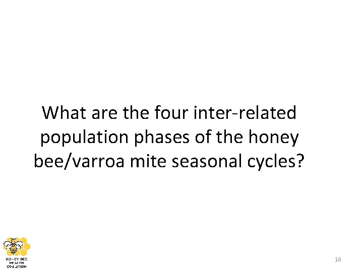 What are the four inter-related population phases of the honey bee/varroa mite seasonal cycles?